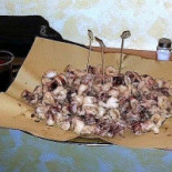 Pape' Mattu Comida