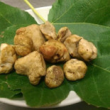 Il Tartufo food
