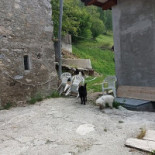 Locanda Mosè Exterior