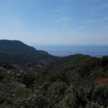 Davidin Exterior