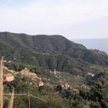 Davidin Exterior