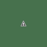 Sushiko — Rivalta Logo
