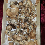 Locanda Del Tedesco Nourriture