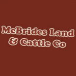 Pasticceria Dentoni logo