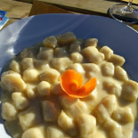 Estro Comida
