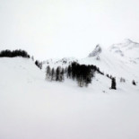 Steger Alm Boisson