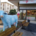 Gelateria Fragola Nera