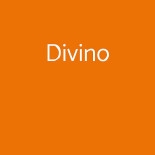 Divino Logo