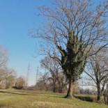 Il Ticinello Exterior
