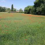 Il Ticinello Exterior