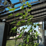 Casa Chef Exterior