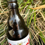 Dinamo Boisson