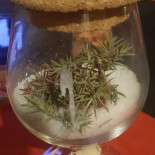 Trattoria Tu Zi Brunu drink