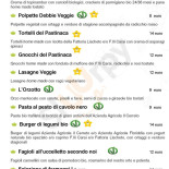 Fattoria Turchi Carta