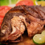 La Piola Comida