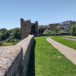 Il Terziere Di Poggio