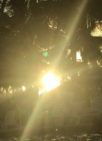 Caffe Espresso A Cialde drink