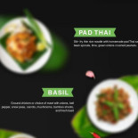 Oasi Carte