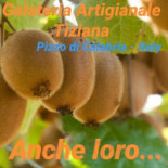Zio Sem Menu