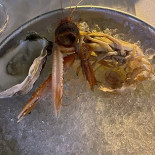 Alchimia Braceria Nourriture