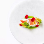 Apino Gourmet Bebida