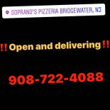 Pizzavagando Logo