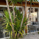 La Cinciallegra Wine Extérieur