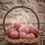 Agrodolce Comida