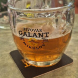 Galant drink
