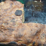 Panificio Scavo Nourriture