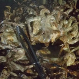 La Giara Nourriture