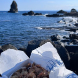 Anchovy Fish Extérieur