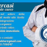 Anchovy Fish Carte