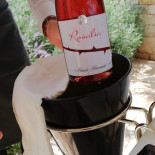 Evo Boisson