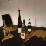 Quercus drink