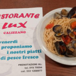 Orso Momo Carta