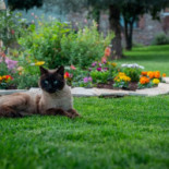 Country Casale Rufo outside