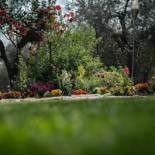 Country Casale Rufo