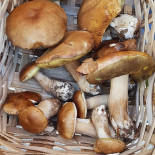 Il Cadotto Nourriture