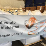 Full Shade Carta