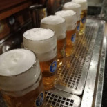 Oktoberfest Bebida