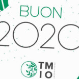 Timo Logo