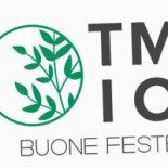 Timo Logo