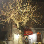 Osteria Al Ritrovo Del Platano Extérieur