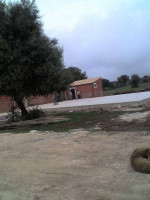 Agriturismo Mio Capitano 2 Canicattini Bagni outside