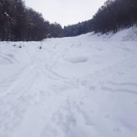 Rifugio Stella outside