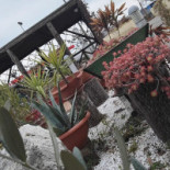 Albergo Amerino outside