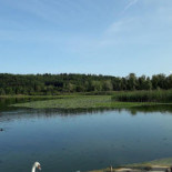Lake Summer Exterior