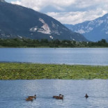 Lake Summer Exterior