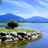 Lake Summer Exterior